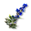 Aconite inventory icon